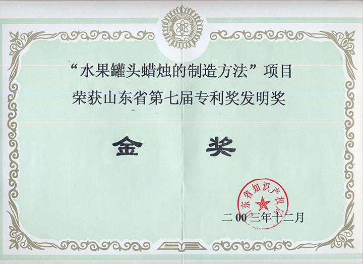 山東省第七屆專(zhuān)利獎(jiǎng)發(fā)明獎(jiǎng)金獎(jiǎng)